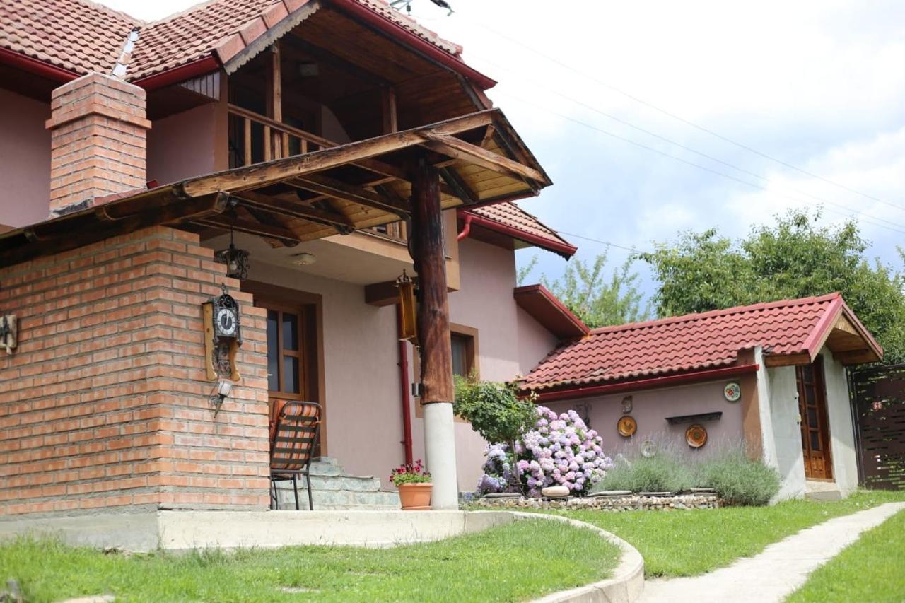 Casa Darius Novaci-Străini Exterior foto
