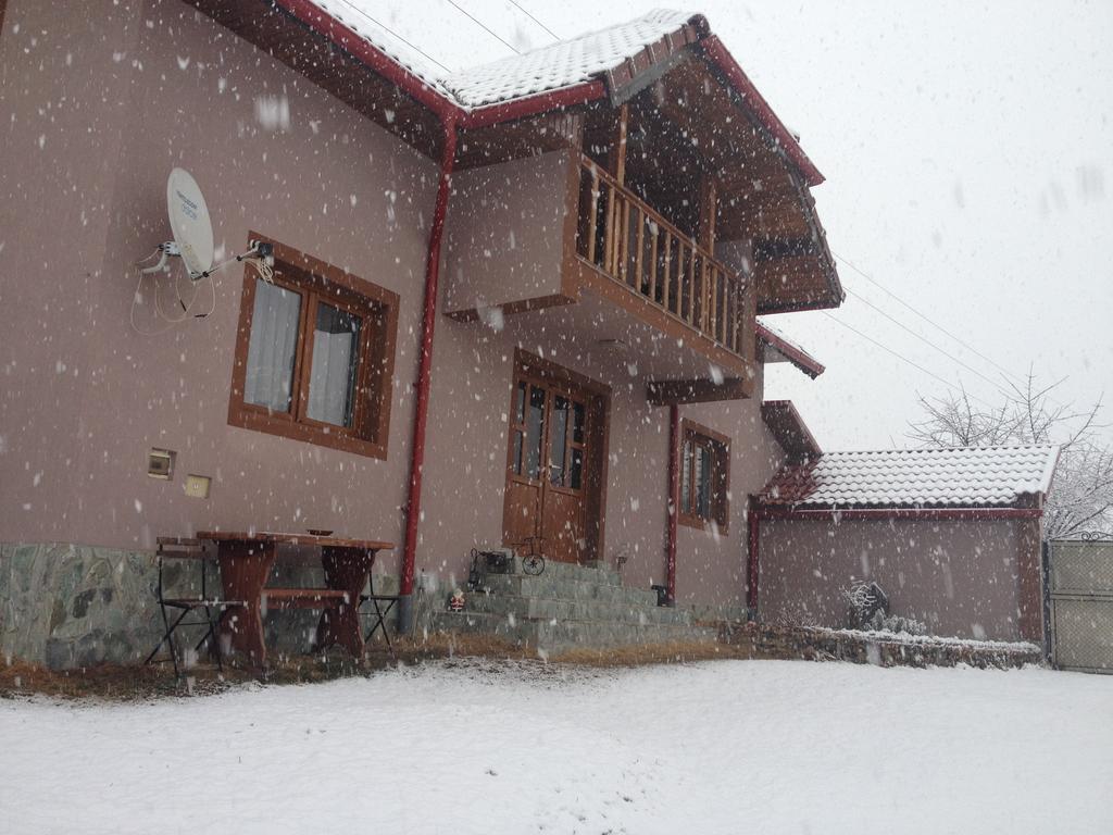 Casa Darius Novaci-Străini Exterior foto